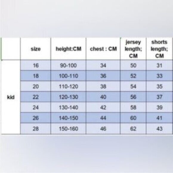 MESSI ARGENTINA Jersey, Shorts Set NWT Home Champion Version 2024 kids - Picture 3 of 3